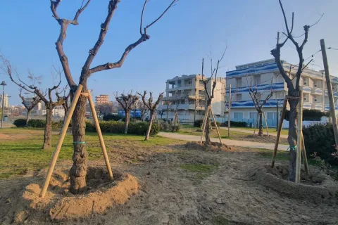 tamerici lungomare