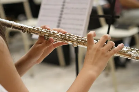 studente di musica
