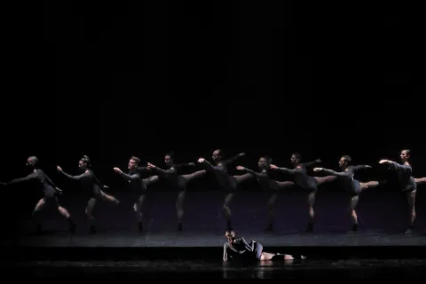 "Bayadère"