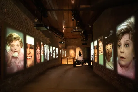museo fellini
