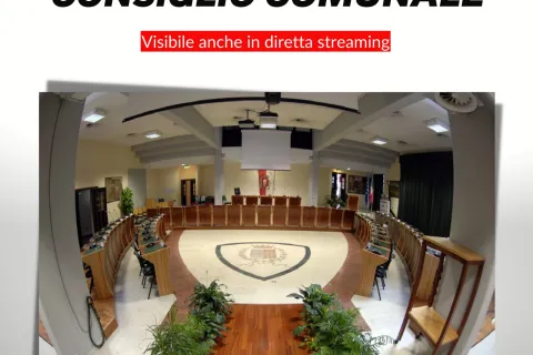 consiglio comunale 