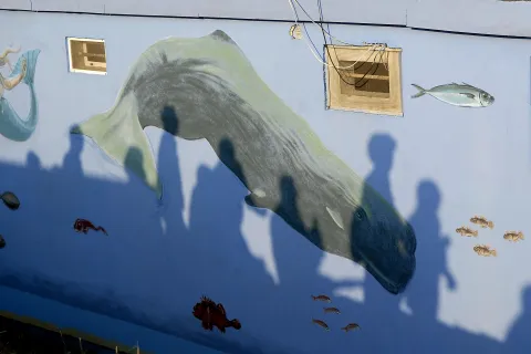 Lungofiume dei capanni