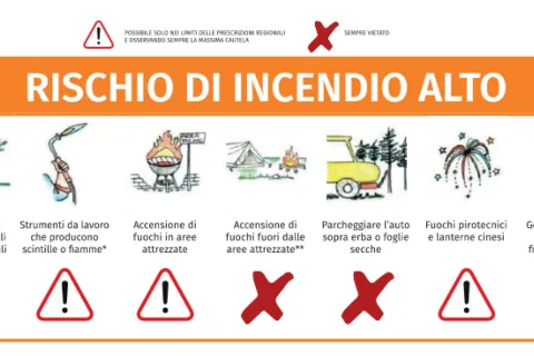 comportamento