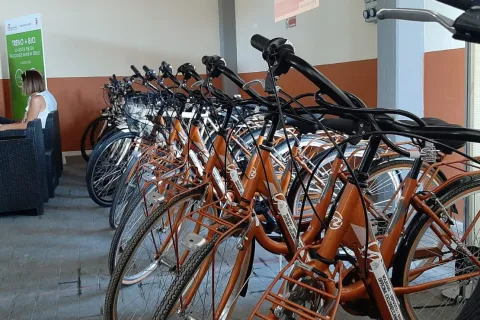 bike park 