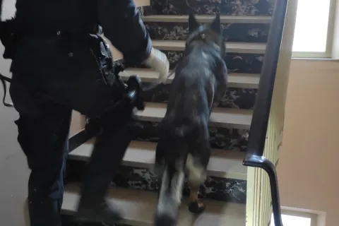 controllo polizia