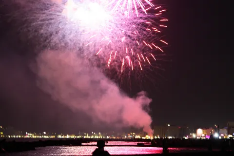 notte rosa