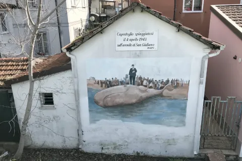 Capodoglio spiaggiato a Rimini nel 1943