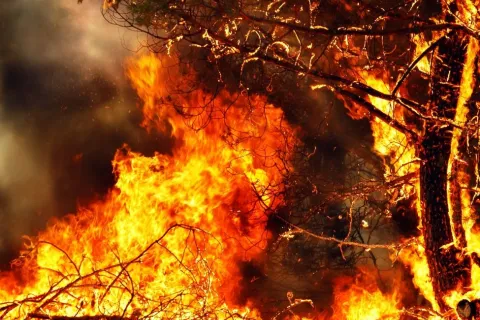 incendio