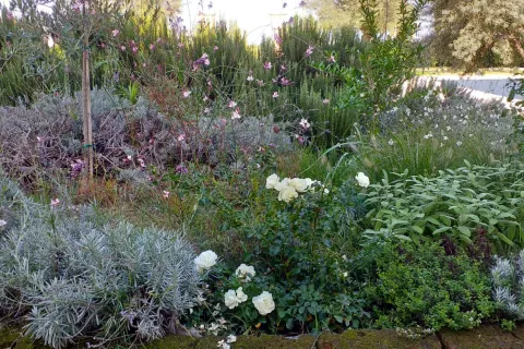 giardiniere civiche