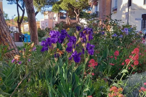 giardiniere civiche