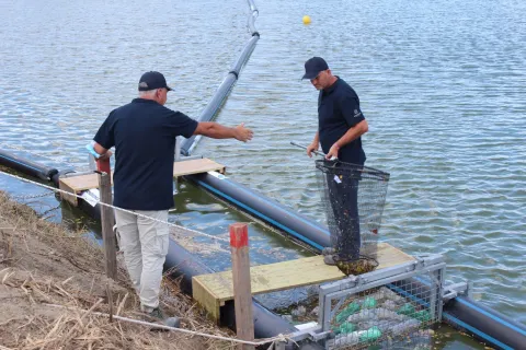 barriera “acchiappaplastica”