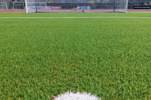 stadio romeo neri
