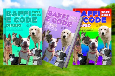 open day al Canile di Rimini Stefano Cerni