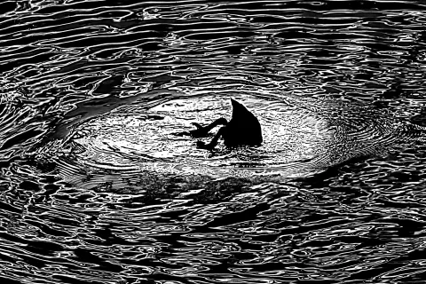 Italo Di Fabio: fotoamatore o fotoinnovatore