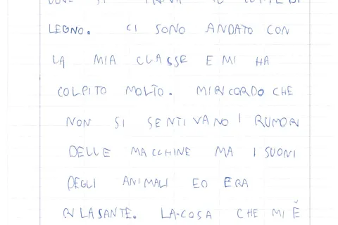 Museo della città: “Piccolo secolo”