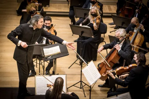 sagra malatestiana 2022 joriwsky