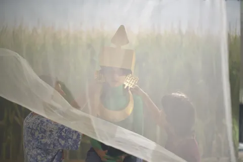 les incas du perou