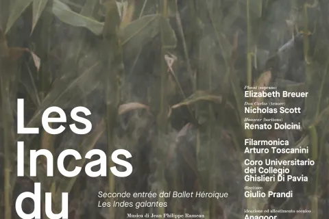 les incas du perou