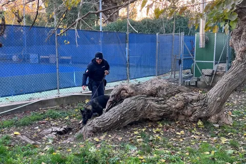 polizia locale e unità cinofile