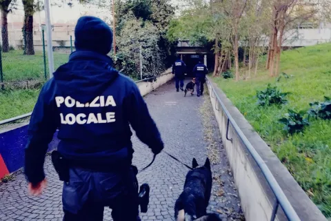 polizia locale e unità cinofile