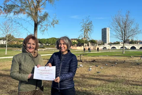 Festa dell'Albero presso l'area archeologica del ponte di San Vito