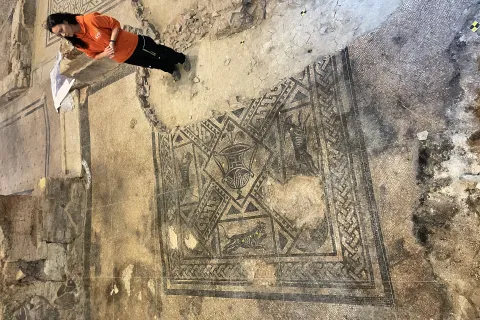 Domus del Chirurgo