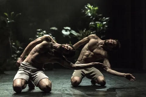 Le piante e i corpi del “Paradiso” di Virgilio Sieni