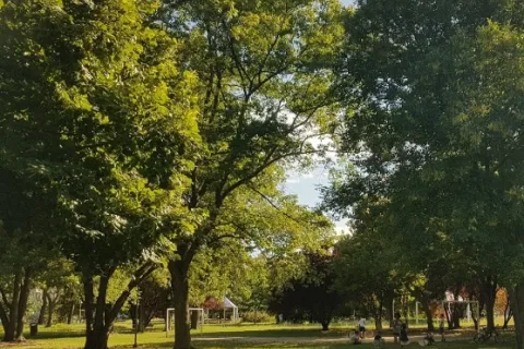 parco pertini rimini