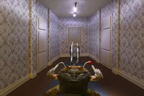 Scena film Shining