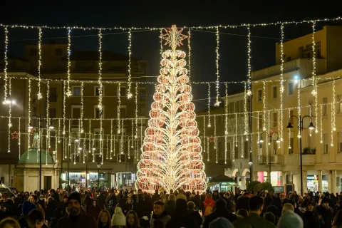 Albero Piazza Tre Martiri