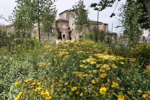 Bosco dei nomi