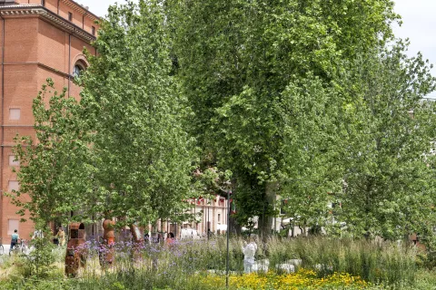 Bosco dei nomi