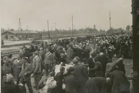 ebrei sbarcano a Birkenau da un convoglio di deportazione