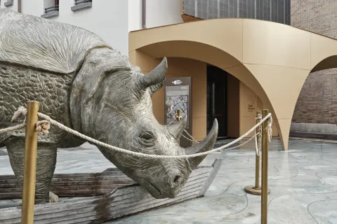 fellini museum