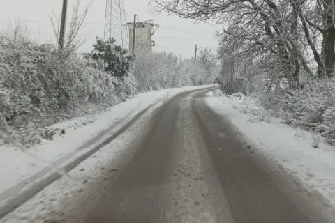 neve