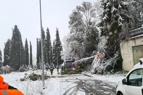 neve