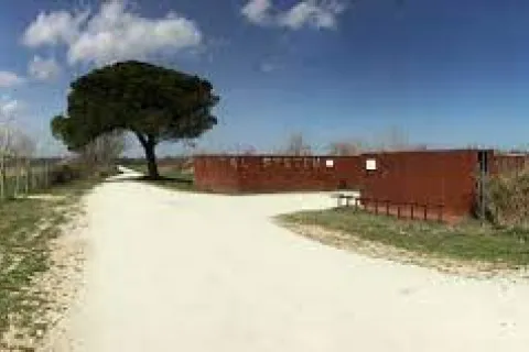 ex cava In Cal System