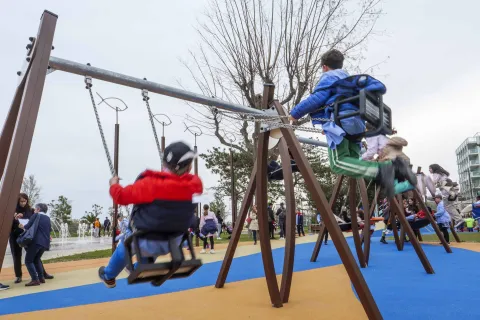 La foresta del Parco del mare