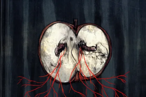 copertina libro ghinelli