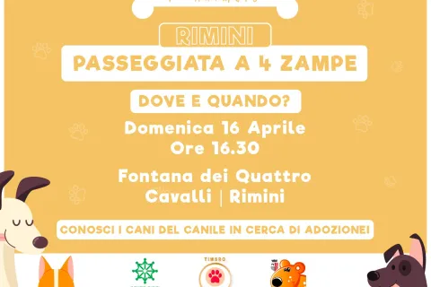 Locandina  "Passeggiata a 4 zampe"