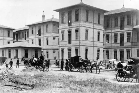 andar per colonie