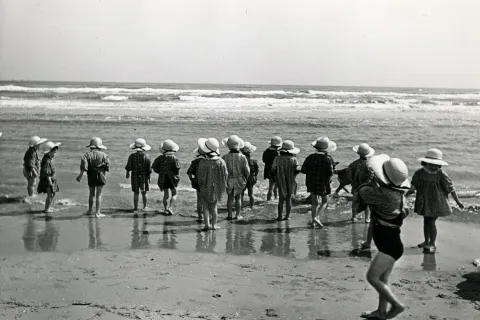 colonie marine