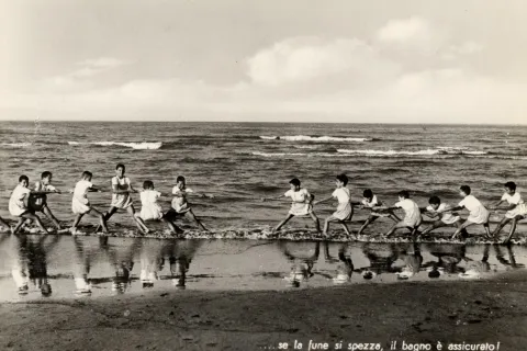 colonie marine