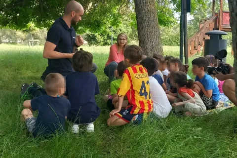 Liberazione delle coccinelle