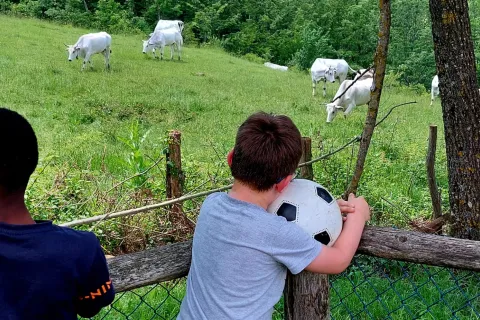 campeggi delle scuole d’infanzia comunale