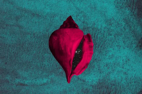 Le Città Visibili 2023