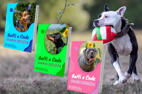 baffi e code