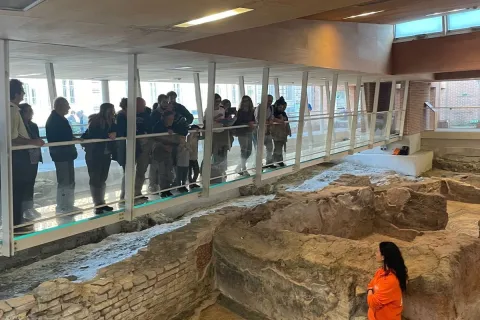Domus del Chirurgo