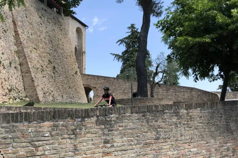 Escursioni in bicicletta