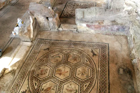 Domus del Chirurgo
